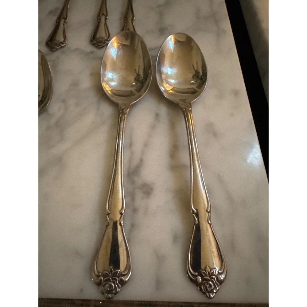 Oneida 1881 Rogers Arbor Rose True Rose Stainless Flatware Set 15pc  1967